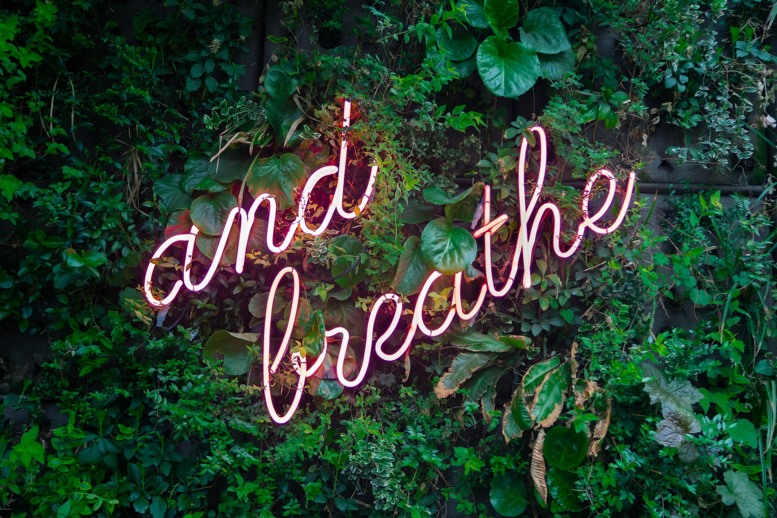 and breathe neon sign on tree COPD