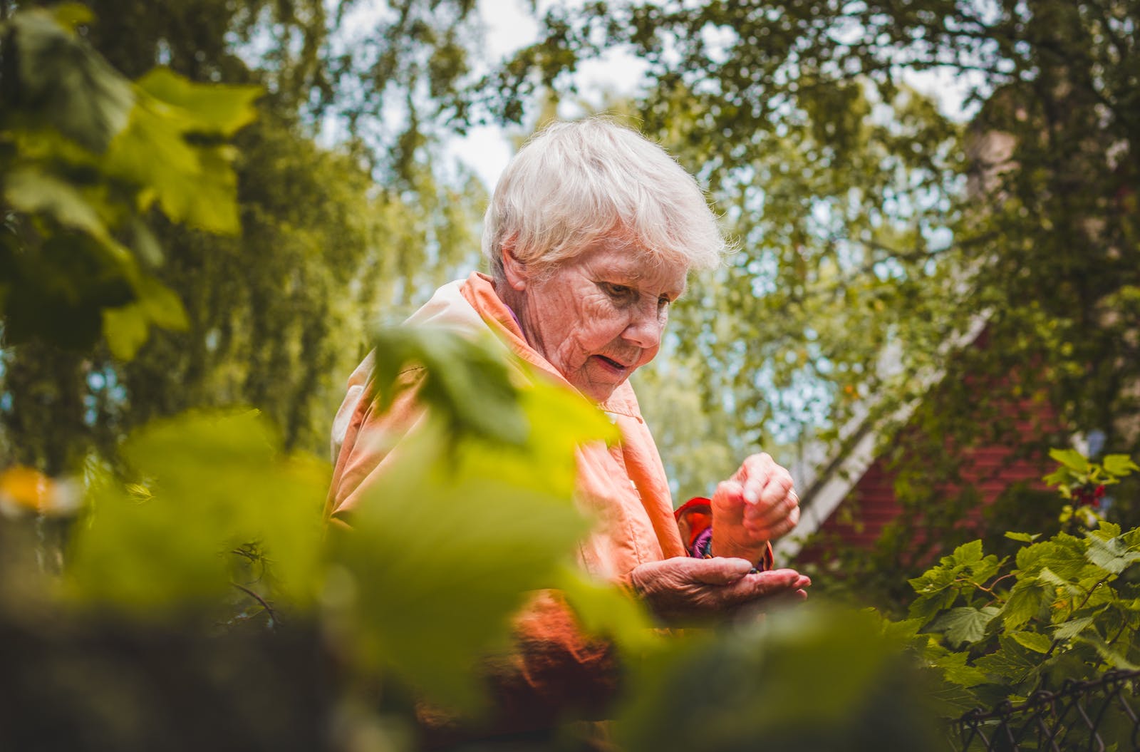 Shallow Focus Photo of Woman Near Plants Health Literacy on Senior Health